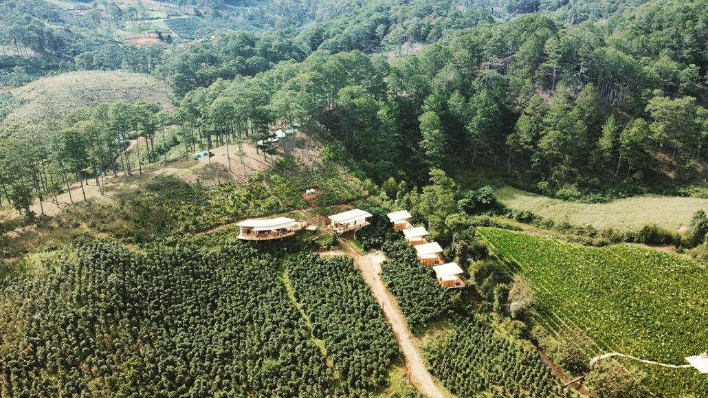 Twin Beans Farm Twin Beans Farm