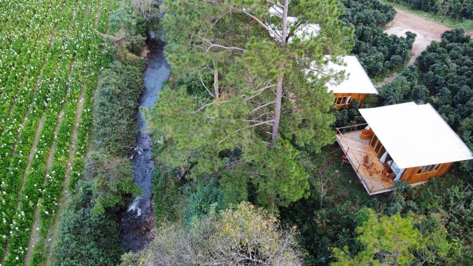 Cabin gỗ bên suối
