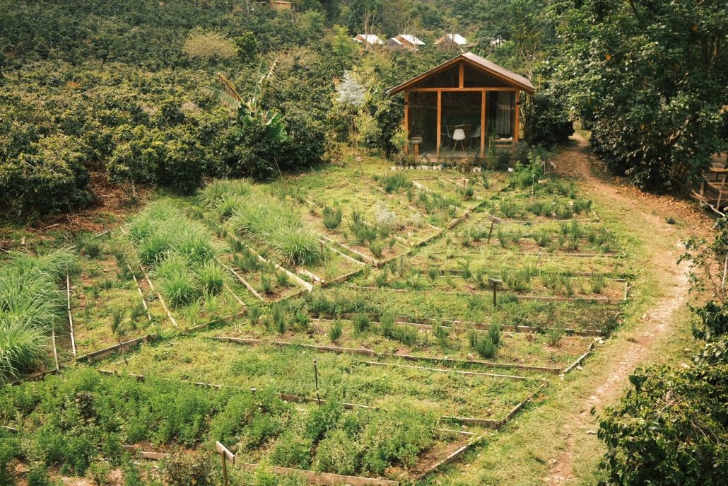 Farm garden