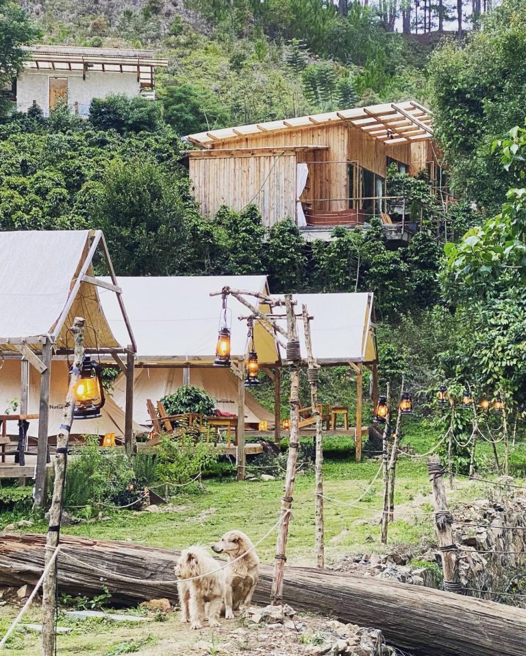 Cắm trại ở farm nó ra làm sao?