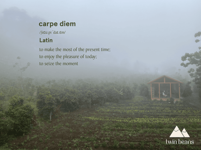 Carpe diem