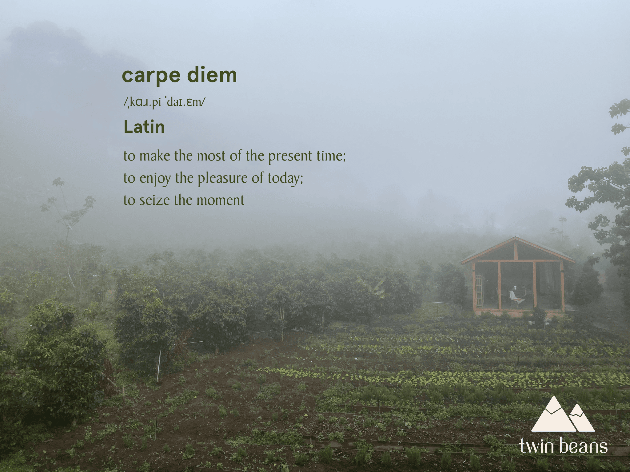 Carpe diem