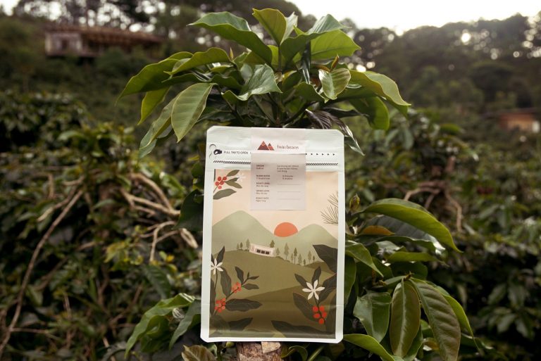 Cà phê 5A5R (Cân Bằng)