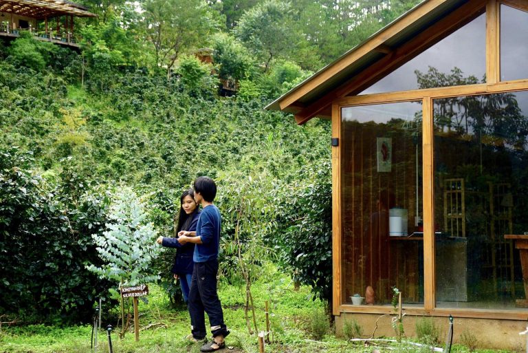Farm Tour Tham quan Nông Trại