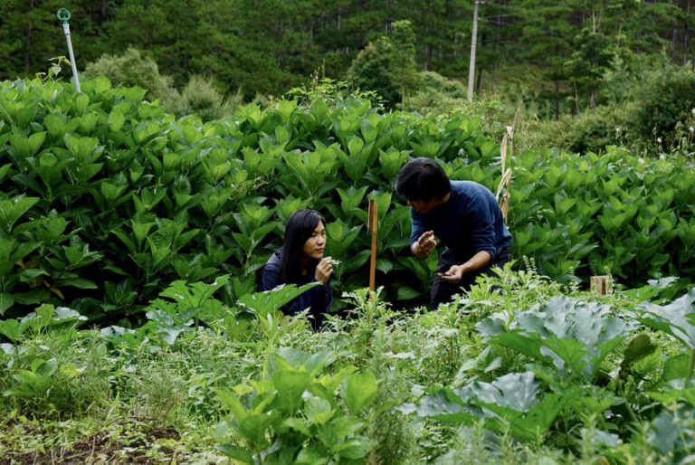 Farm Tour Tham quan Nông Trại