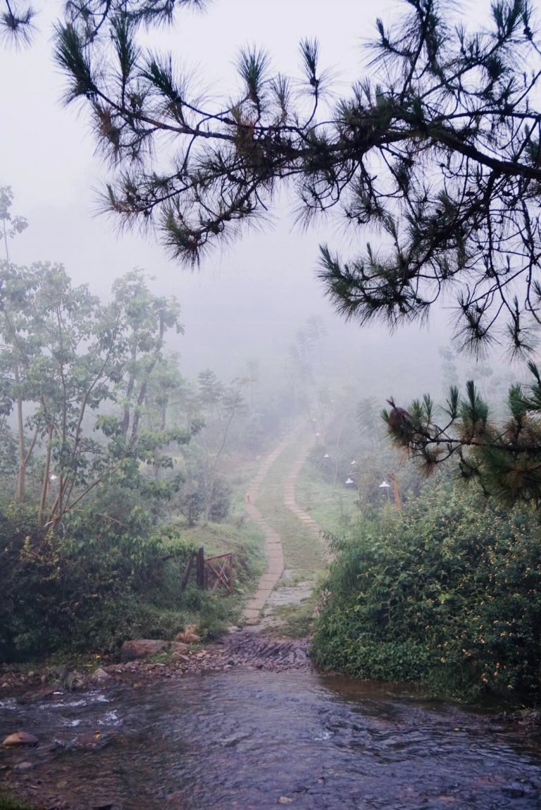 Tự đi săn mây ở farm