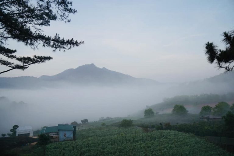 Tự đi săn mây ở farm