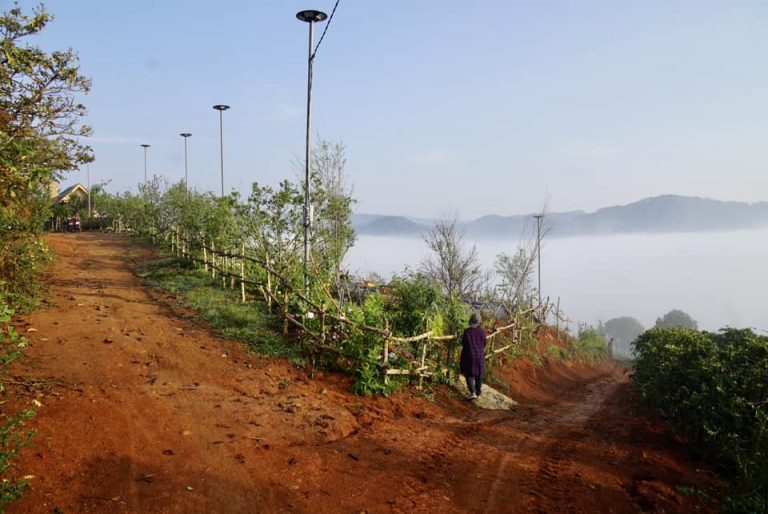 Tự đi săn mây ở farm