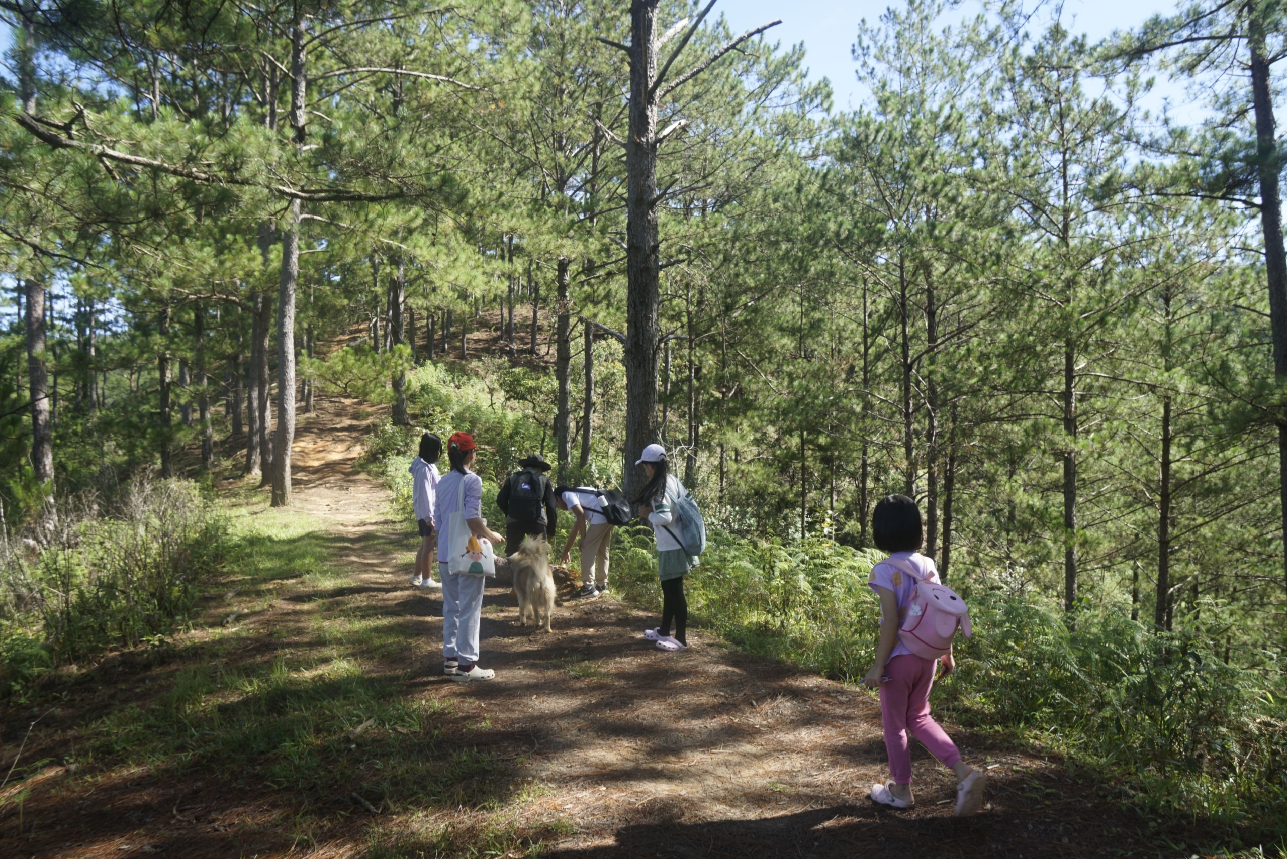 Summer Camp