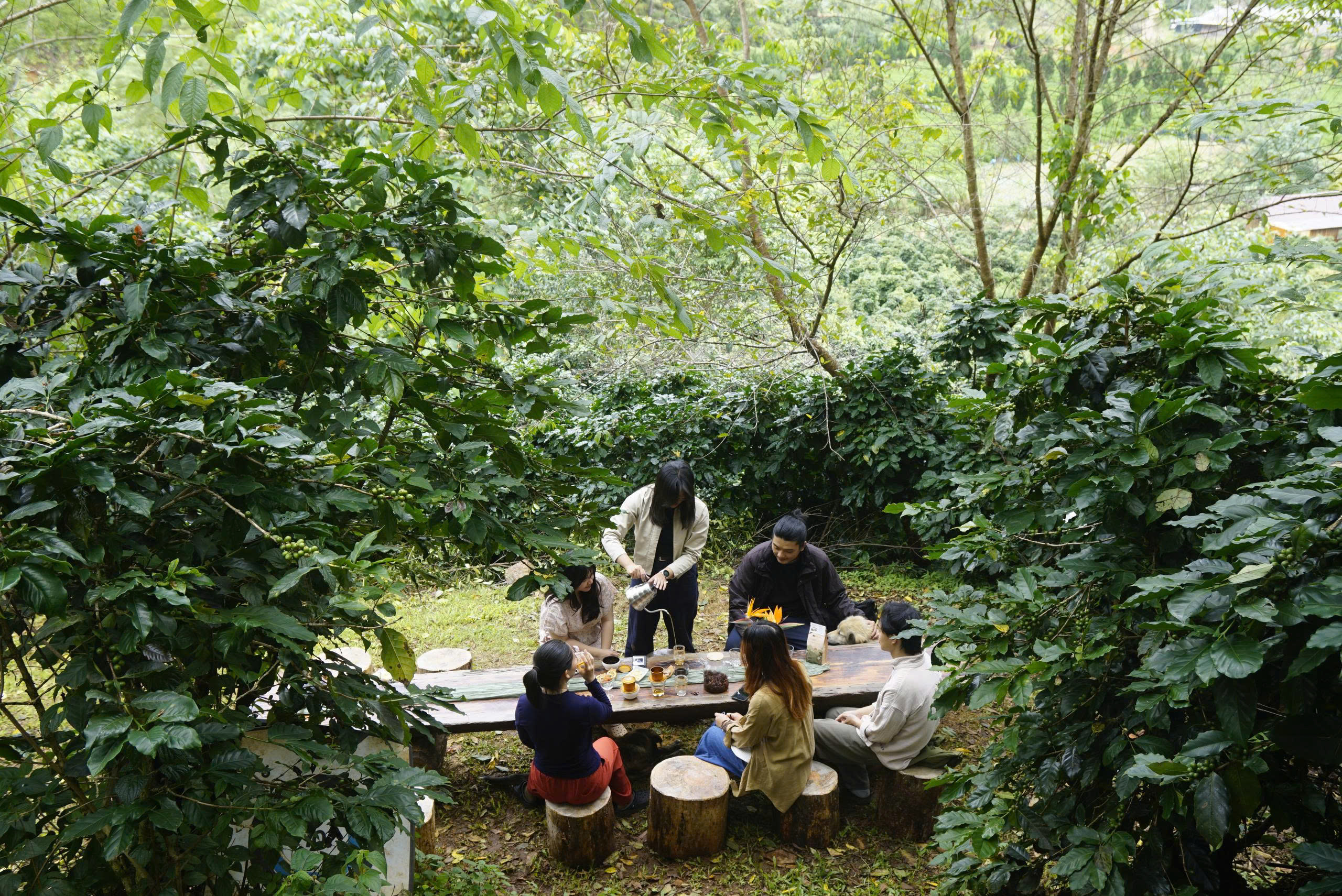 Part B: Workshop Pha Chế & Thưởng Vị 5 Loại Cà Phê
