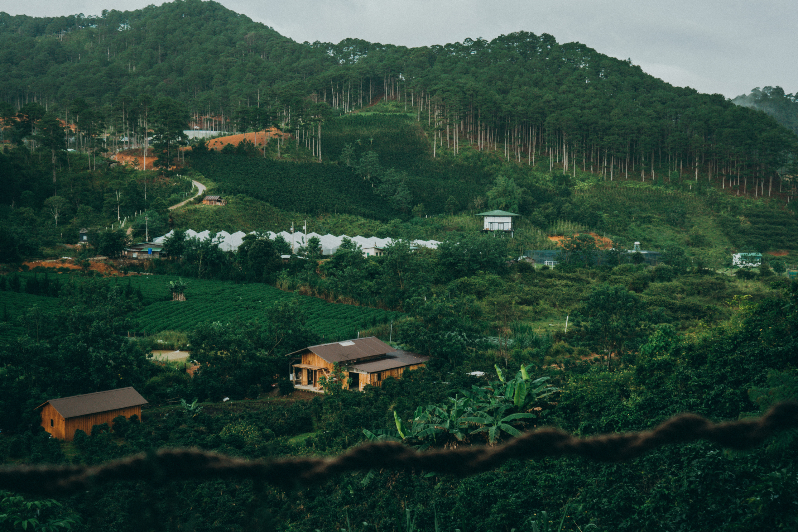 Mùa đông tại Twin Beans Farm